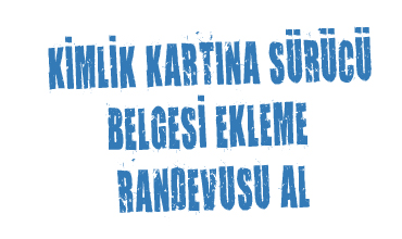 dikmesurucukursu