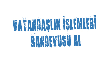 dikmesurucukursu